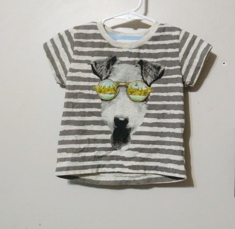 Paper Wing Schnauzer in Shades Striped Tee